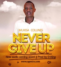 Never Give Up - Collines