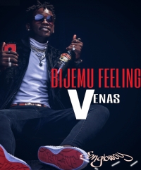 Bijemu Feeling - Venas Vanie