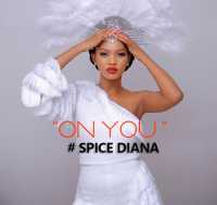 On You - Spice Diana