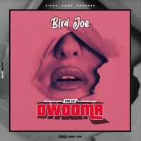 Owooma - Bird Joe