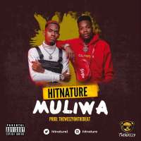 Muliwa - Hitnature
