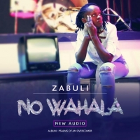 No wahala - Zabuli