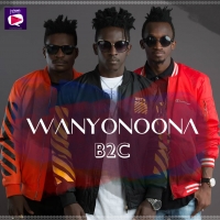 Wanyonoona - B2c