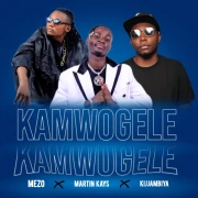 Kamwogere - Martin Kays