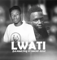 Lwati - Shortcool & Bamuking