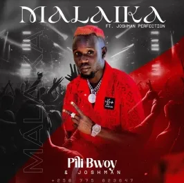 Malaika - PiLi Bwoy