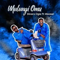 Mulunji Omu - Radio & Weasel ft. Dinaro Ogie