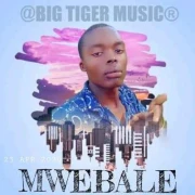 Mwebale - Big Tiger Ug