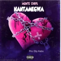 Nantamegwa - Monte Chris