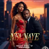NFa Naye - Lady Jojo