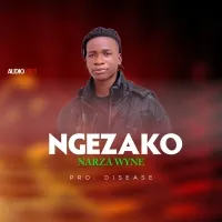 Ngezako - Narza Wyne Official