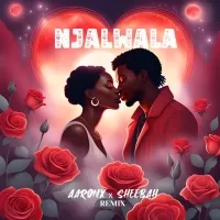 Njalwala Remix - Aaronx & Sheebah