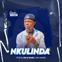 Nkulinda - Roman Brian