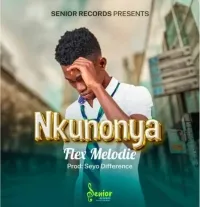 Nkunonya - Flex Melodie