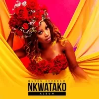 Nkwatako - Sheebah Karungi