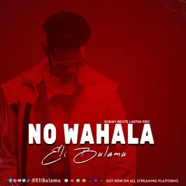 No Wahala - Eli Bulamu