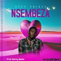 Nsembeza - Avvy Prince
