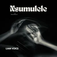 Nsumulule - Liam Voice