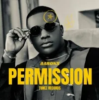 Permission - Aaronx