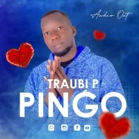 Pingo - Traubi P