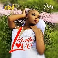 Kwata Love - Pinky
