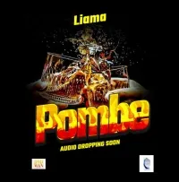 Pombe - Liama