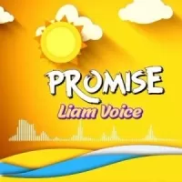 Promise - Liam Voice