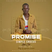 Promise - Simple crocus