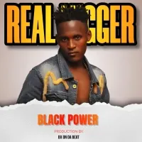Real Nigger - Black Power