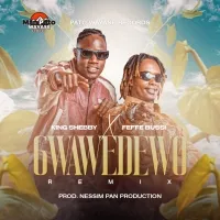 Gwaweddewo - Feffe Bussi, King Shebby