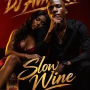 DJ Avator pro - Slow Wine - DJ Avator Pro