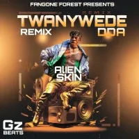 Twanywede Dda (Remix) - Alien skin