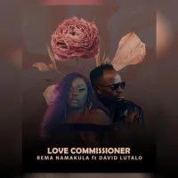 Love Commissioner - David Lutalo ft Rema Namakula