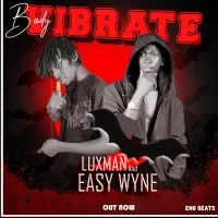 Vibrate - Luxman ft Easy wyne