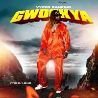 Gwookya - Vyper Rankings