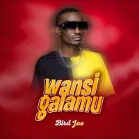 Wansigalamu - Bird Joe