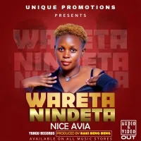 Wareta Nindeta - Nice Avia