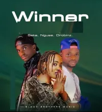 Winner - Drobinz