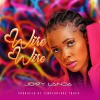 Wire Wire - Jowy Landa
