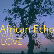 Party - African Echo