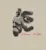Follow - Phivae