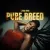 Pure Breed - Vivian Mimi